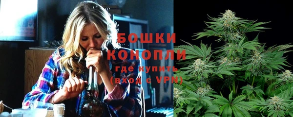 стаф Кулебаки