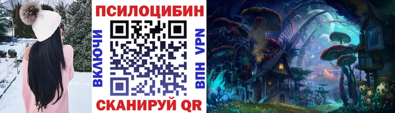 Галлюциногенные грибы Psilocybine cubensis  Купить закладки  Кувандык 